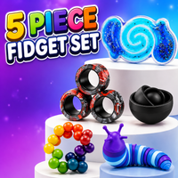 5 Piece Fidget Set