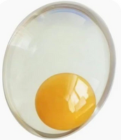 EGG SQUISHY (EITHER CLEAR OR HARDBOILED)